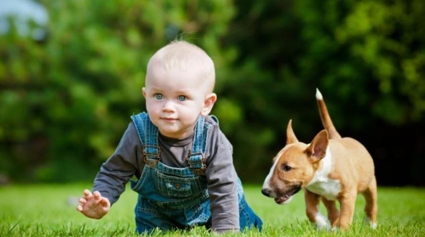 &Ccedil;ocuğunuza arkadaş olarak k&ouml;pek almanız gerektiğinin 20 kanıtı