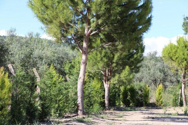 Kırkağaç’a Yeni Sosyal Alan 2