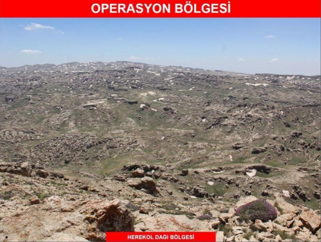 Pkk&rsquo;ya Herekol&rsquo;da B&uuml;y&uuml;k Darbe