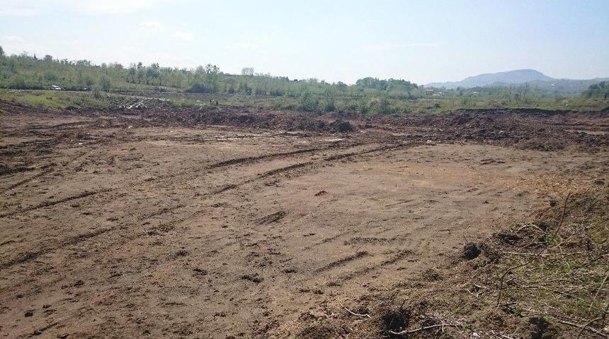 &Ccedil;arşamba&rsquo;ya Besi B&ouml;lgesi Kuruluyor