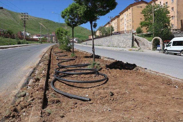 Bitlis Belediyesinden Eşzamanlı Çalışma