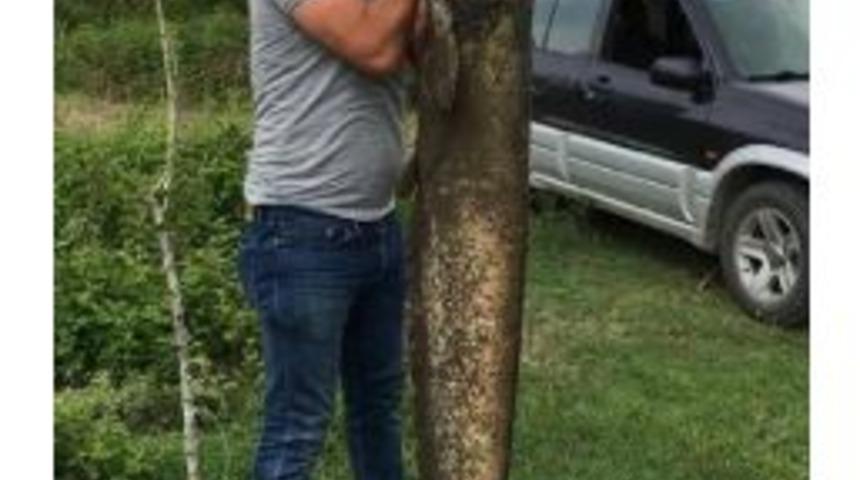 Amasya&rsquo;Da Dev Yayın Balığı Tutuldu