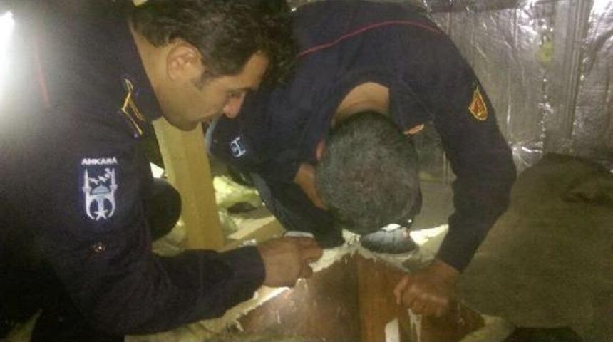 İtfaiyeden Kedi Kurtarma Operasyonu