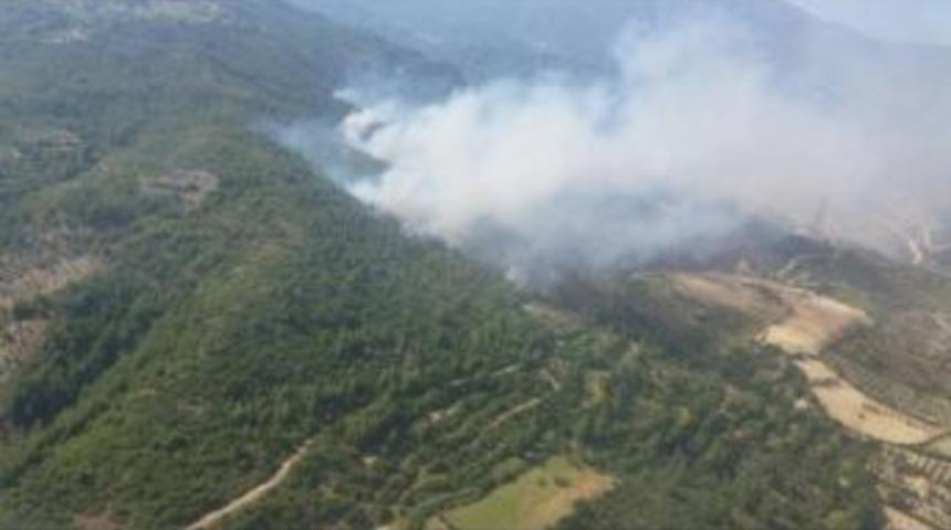 Hatay'da Orman Yangını