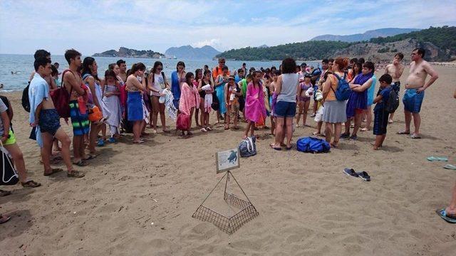 Caretta Carettalar İçin Deniz Dibinden Poşet Çıkardılar