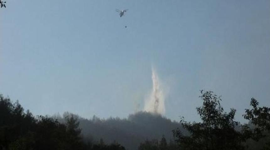 Hatay'da Orman Yangını (2)