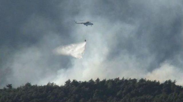 Hatay'da Orman Yangını (2)