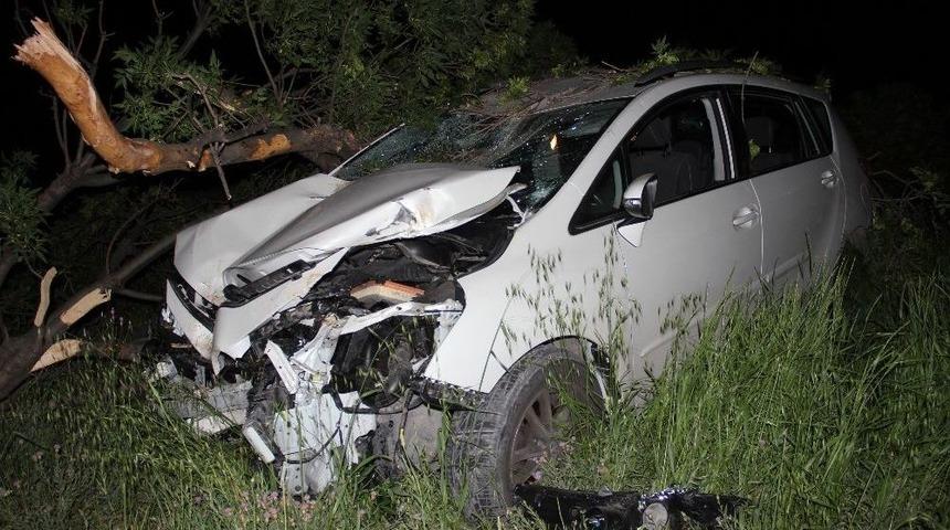 Doktorun Kullandığı Otomobil Ağaca &Ccedil;arptı: 4 Yaralı