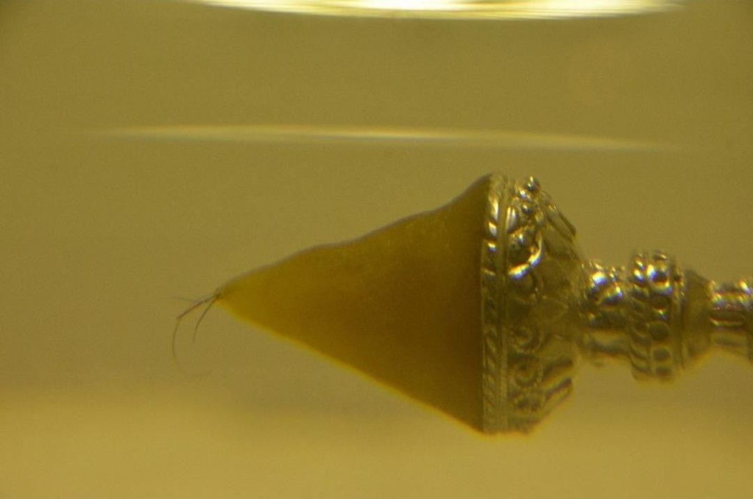 Siverek&rsquo;te Sakal-ı Şerif Ziyarete A&ccedil;ıldı