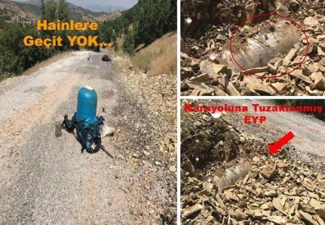 Diyarbakır'daki Büyük Operasyonda 4 Ton 710 Kilo Esrar Ele Geçirildi