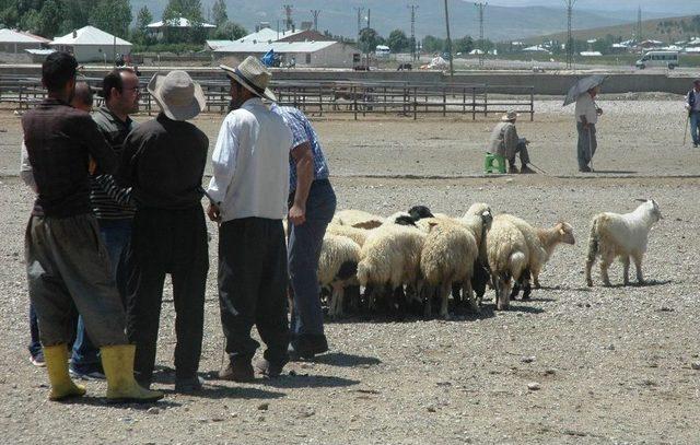 Et Fiyatları Canlı Hayvan Pazarını Vurdu