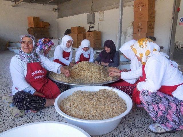 (özel Haber) Kahramanmaraş’ta Tarhana İhracatı Başladı