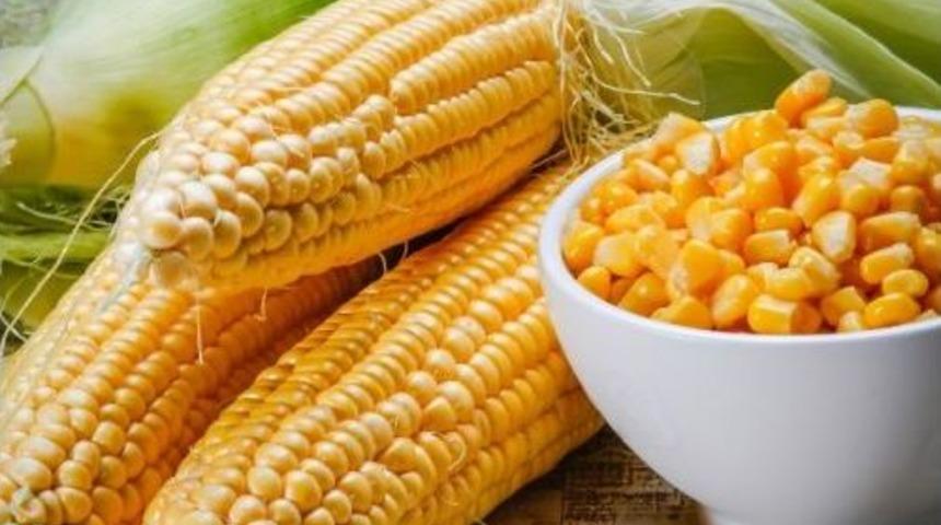 May Tohum&rsquo;dan T&uuml;rkiye&rsquo;nin En Tatlı Mısır &Ccedil;eşitleri