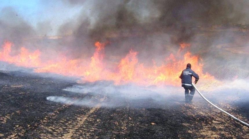 Anız Yakan &Ccedil;ift&ccedil;iler Cezalandırılacak