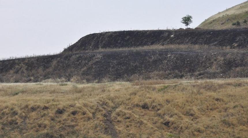 &Ccedil;ift&ccedil;iler Bile Bile Kendi Tarlalarına Zarar Veriyor