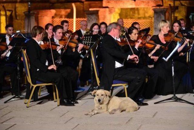 Fazıl Say Ve Viyana Oda Orkestrası'ndan Efes'te Konser