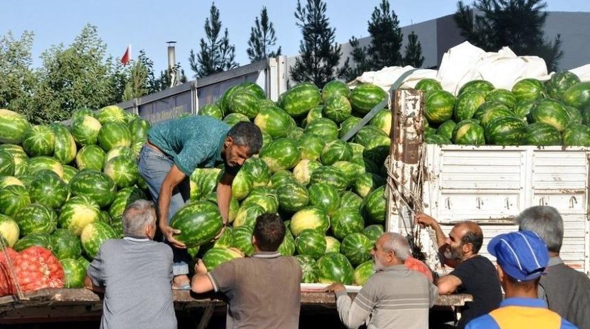 Sıcaklar Artınca Karpuz Satışları Da Arttı
