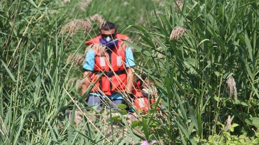 Vekt&ouml;r M&uuml;cadelesine Son Sistem Teknoloji