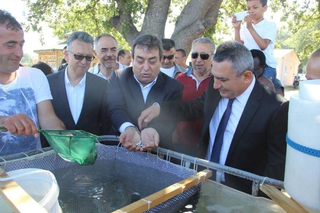 2 Bin Yavru Levrek Denize Bırakıldı