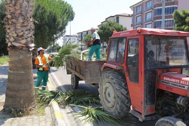 Burhaniye’ De Refüjlere Belediye Makyajı