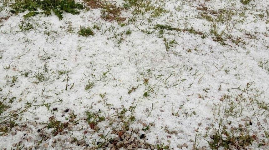 Kangal&rsquo;da Buğday Tarlalarını Dolu Vurdu