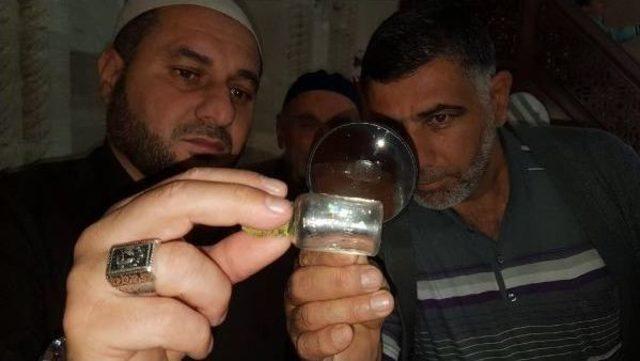 Suşehri nde, Sakal-I Şerif e Yoğun Ilgi 1