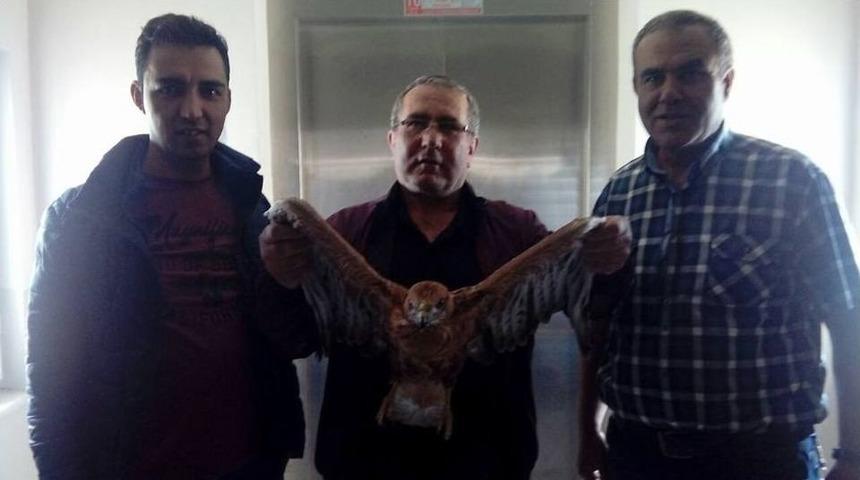 Yolda Bulduğu Kartalı İl&ccedil;e Tarım M&uuml;d&uuml;rl&uuml;ğ&uuml;&rsquo;ne Teslim Etti