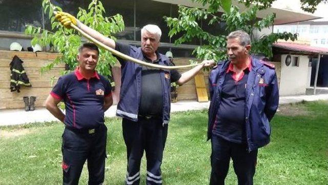 Evin Bah&ccedil;esine Giren Yılan Yakalandı 1