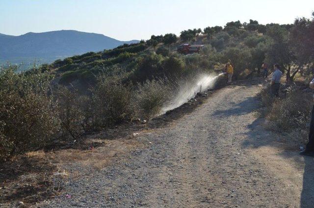 Şirince&rsquo;de Makilik Alanda &Ccedil;ıkan Yangın Kontrol Altına Alındı 1
