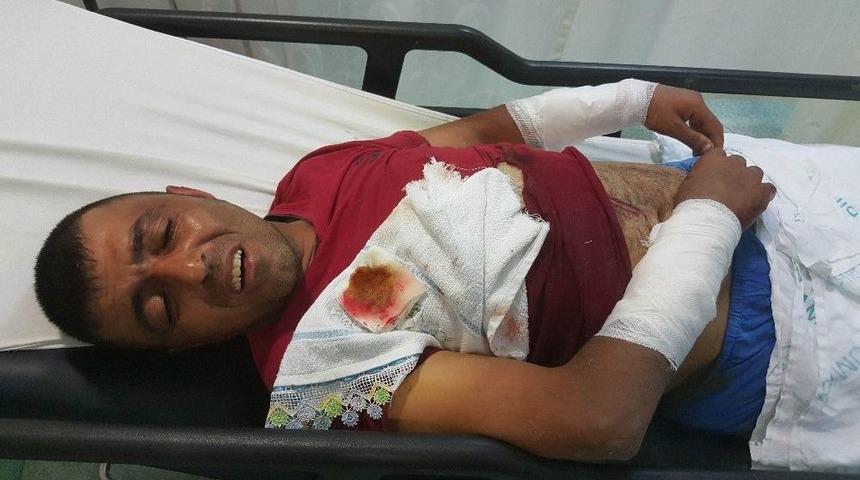 Kendisini Par&ccedil;alamak İsteyen K&ouml;peğini Suda Boğarak &Ouml;l&uuml;mden Kurtuldu