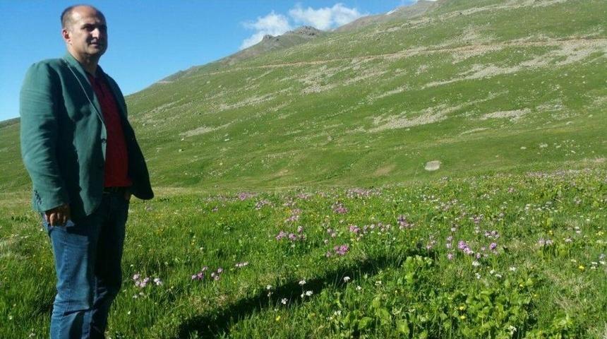 D&uuml;nyaca &Uuml;nl&uuml; Anzer Balı &Uuml;retimine Hava Darbesi