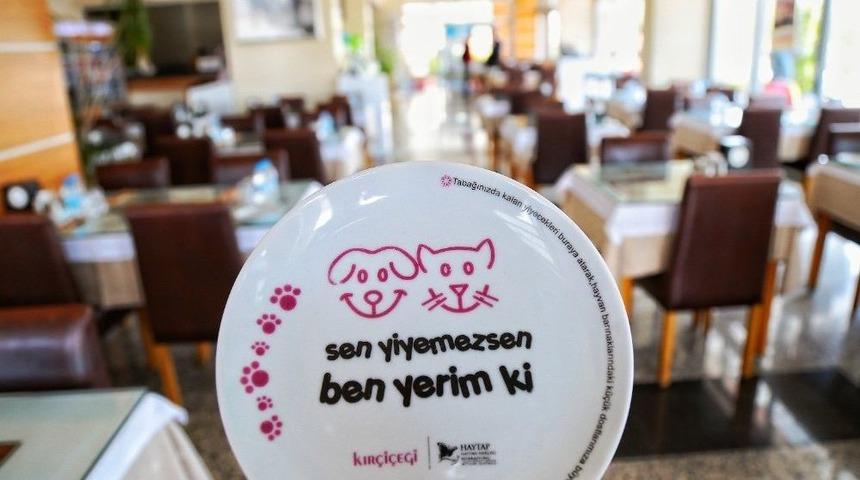 Sevimli Dostlar A&ccedil; Kalmasın Dedi, 60 Ton Yiyeceği Onlarla Buluşturdu