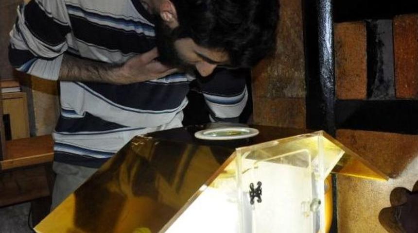 Gaziantep'te Sakal-I Şerif'e Yoğun Ilgi