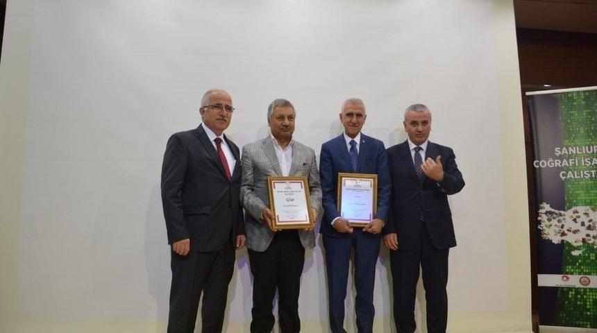 Başkan Pınarbaşı, Urfa Fıstığının Coğrafi İşaret Belgesini Alacak