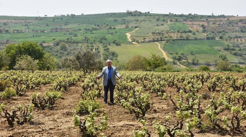 İklimle İlgili &Ouml;nemli Adım