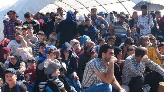 Ülkelerine Dönen Suriyelilerin Sayısı 50 Bini Buldu