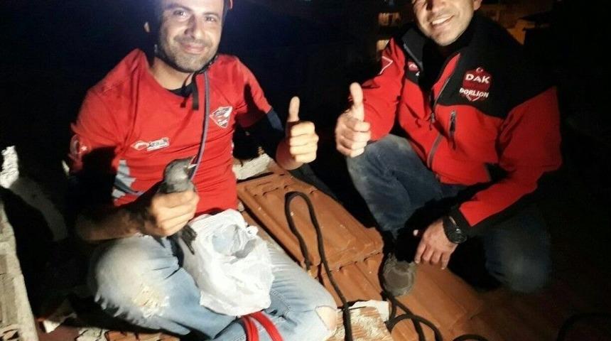 Havalandırma Boşluğunda Mahsur Kalan Yavru Kuş Kurtarıldı