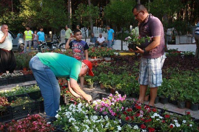 Alanya Belediyesi Mezarlıklarda Ücretsiz Çiçek Dağıtacak