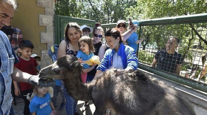 Ke&ccedil;i&ouml;ren Evcil Hayvanlar Parkı Ziyaret&ccedil;ilerini Bekliyor