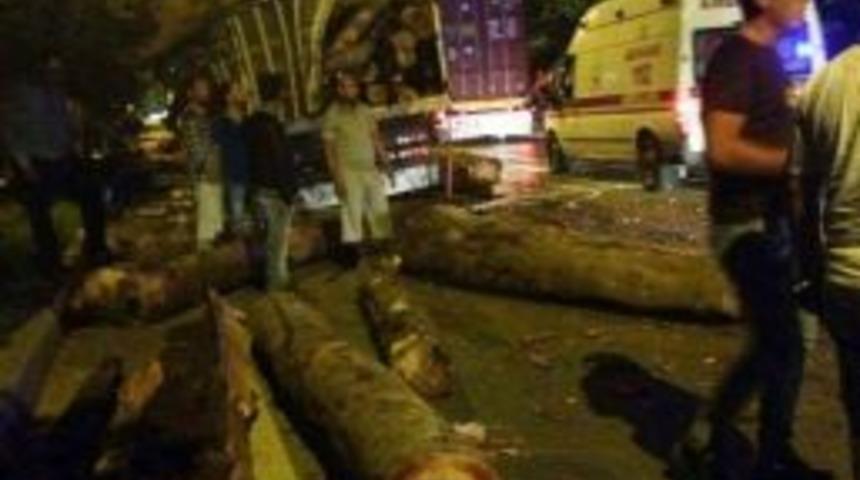 Tır&rsquo;lar &Ccedil;arpıştı Tomruklar Sa&ccedil;ıldı