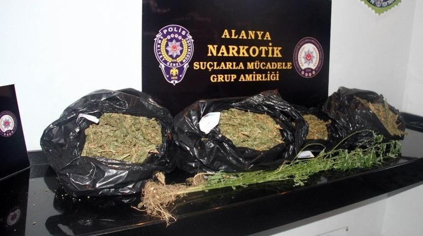 Alanya&rsquo;da Uyuşturucu Operasyonu