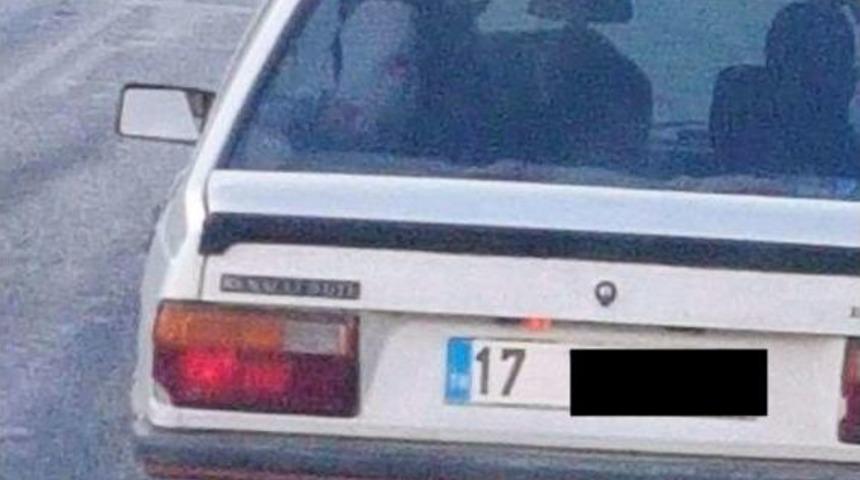 &Ccedil;anakkale&rsquo;de &rsquo;dana Ferhat&rsquo; Şaşkınlığı