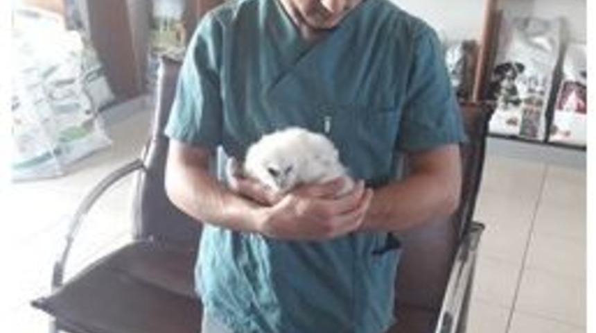 Marmaris&rsquo;te Yaralı Kuşlar Milli Parkta Hayat Buluyor