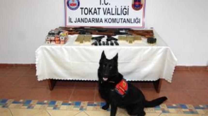Tokat'ta Jandarmadan Silah Ka&ccedil;ak&ccedil;ılığı Operasyonu