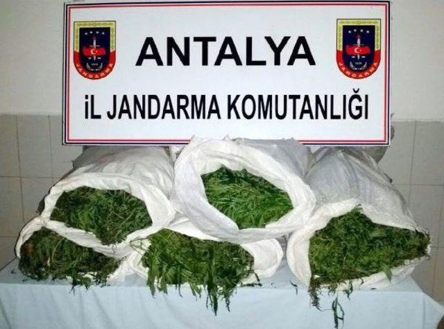 Antalya'da Jandarmadan Uyuşturucu Tacirlerine Darbe