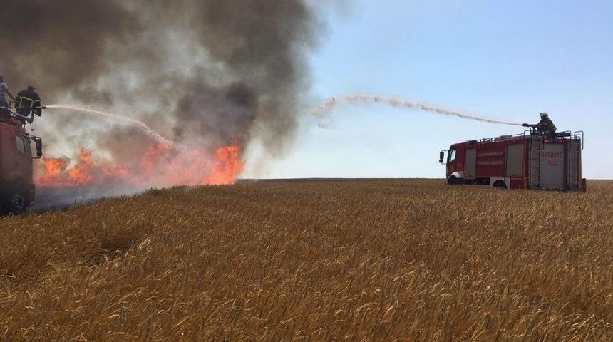 Bandırma&rsquo;da Arazi Yangını