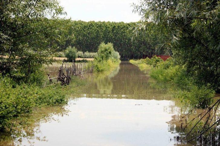Sağanak Yağış Tarım Arazilerini Vurdu G1