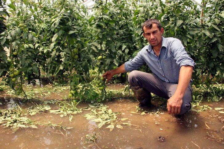 Sağanak Yağış Tarım Arazilerini Vurdu G4