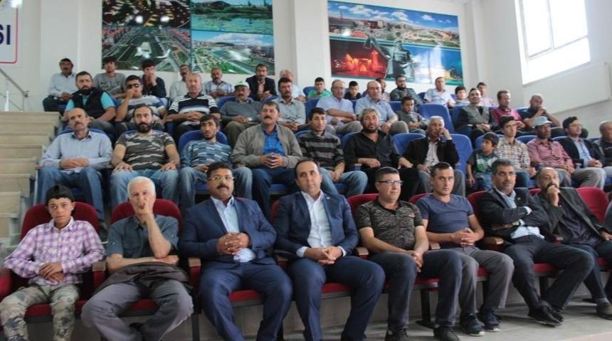 Ak Karaman Cinsi Koç Dağıtımı Çiftçiye Yapıldı