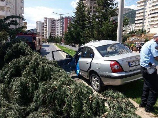 Refüjdeki Direğe Çarpan Otomobilin Sürücüsü Öldü